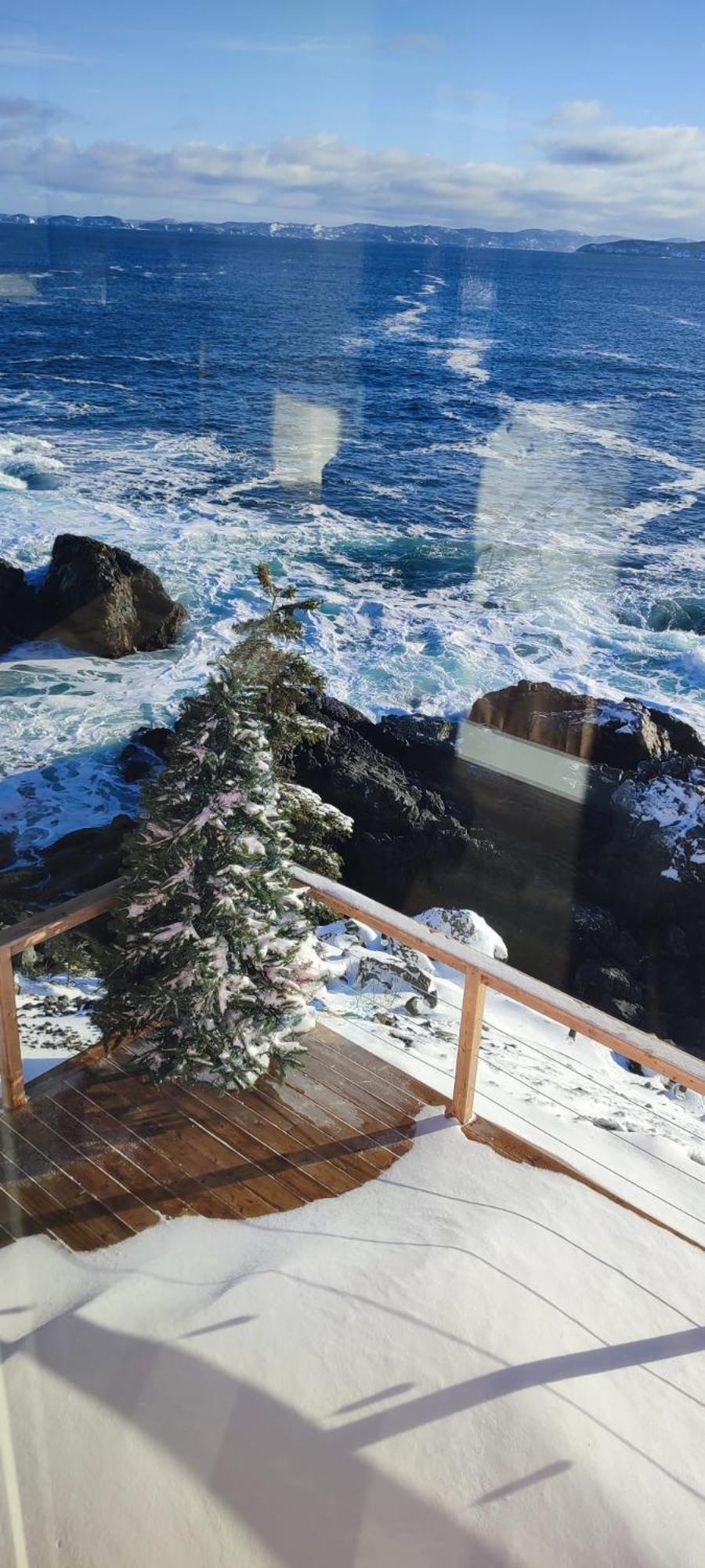The View Suites And Breakfast In Triton, Newfoundland Pilley's Island Exteriér fotografie