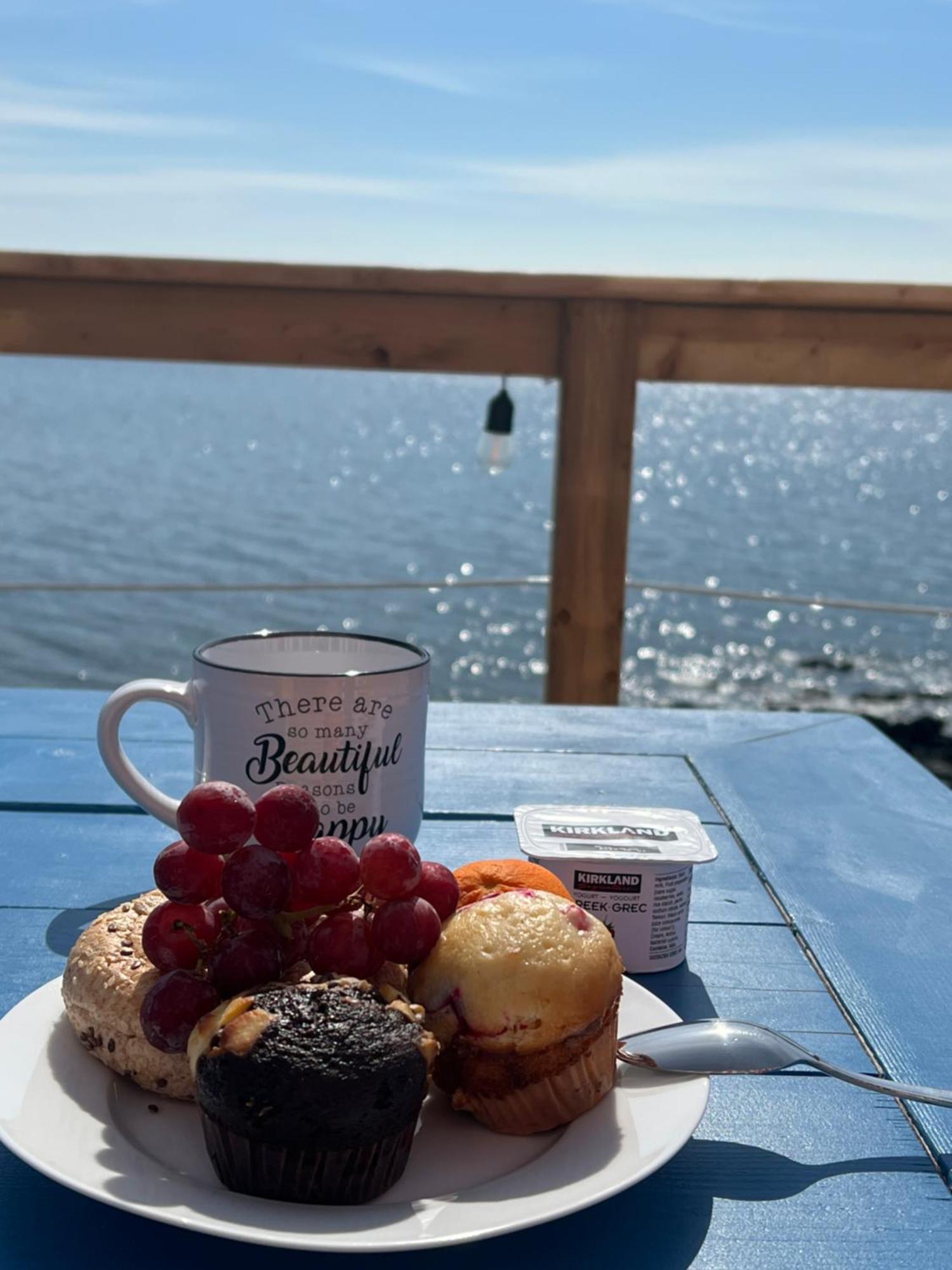 The View Suites And Breakfast In Triton, Newfoundland Pilley's Island Exteriér fotografie