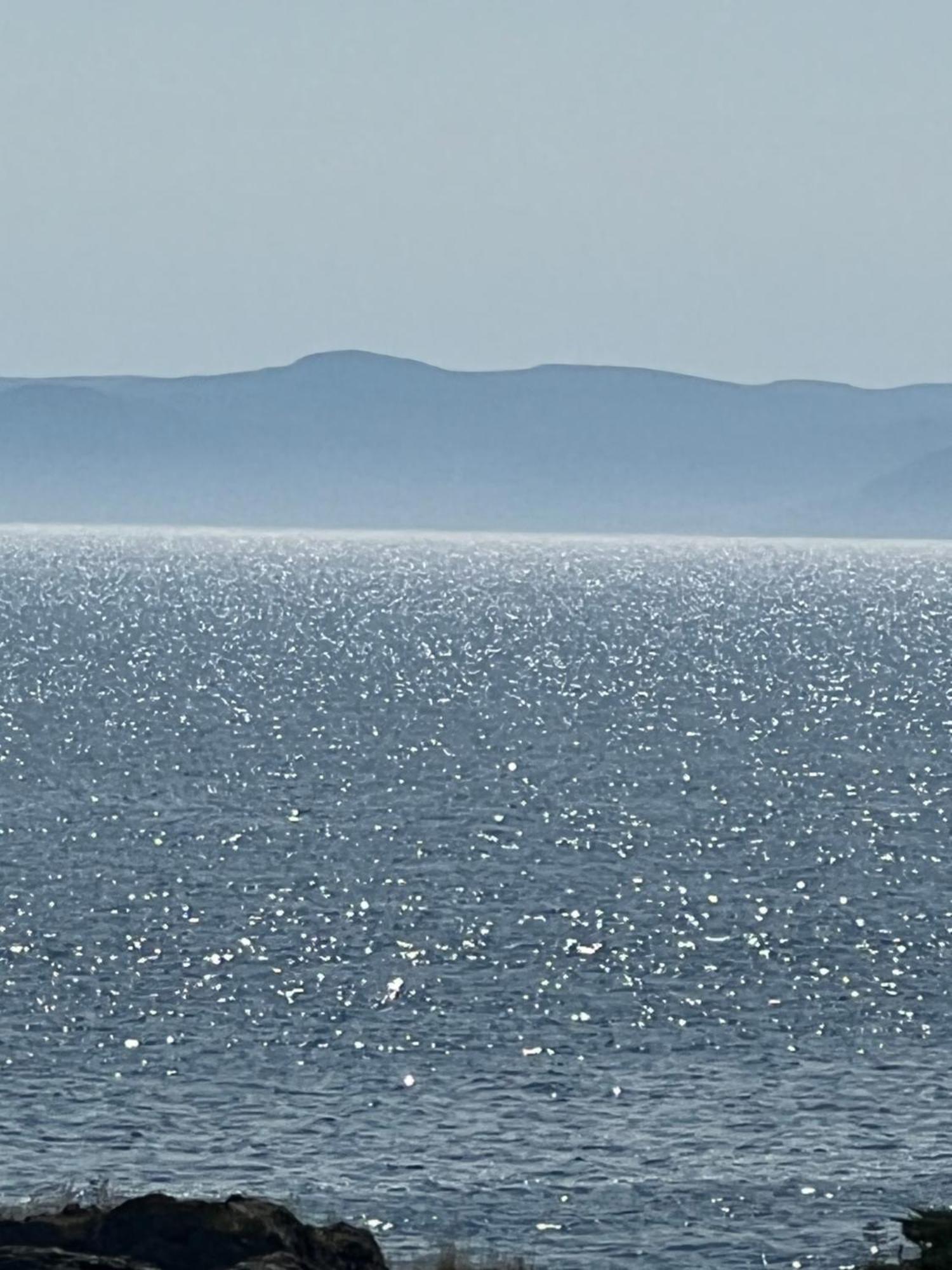 The View Suites And Breakfast In Triton, Newfoundland Pilley's Island Exteriér fotografie