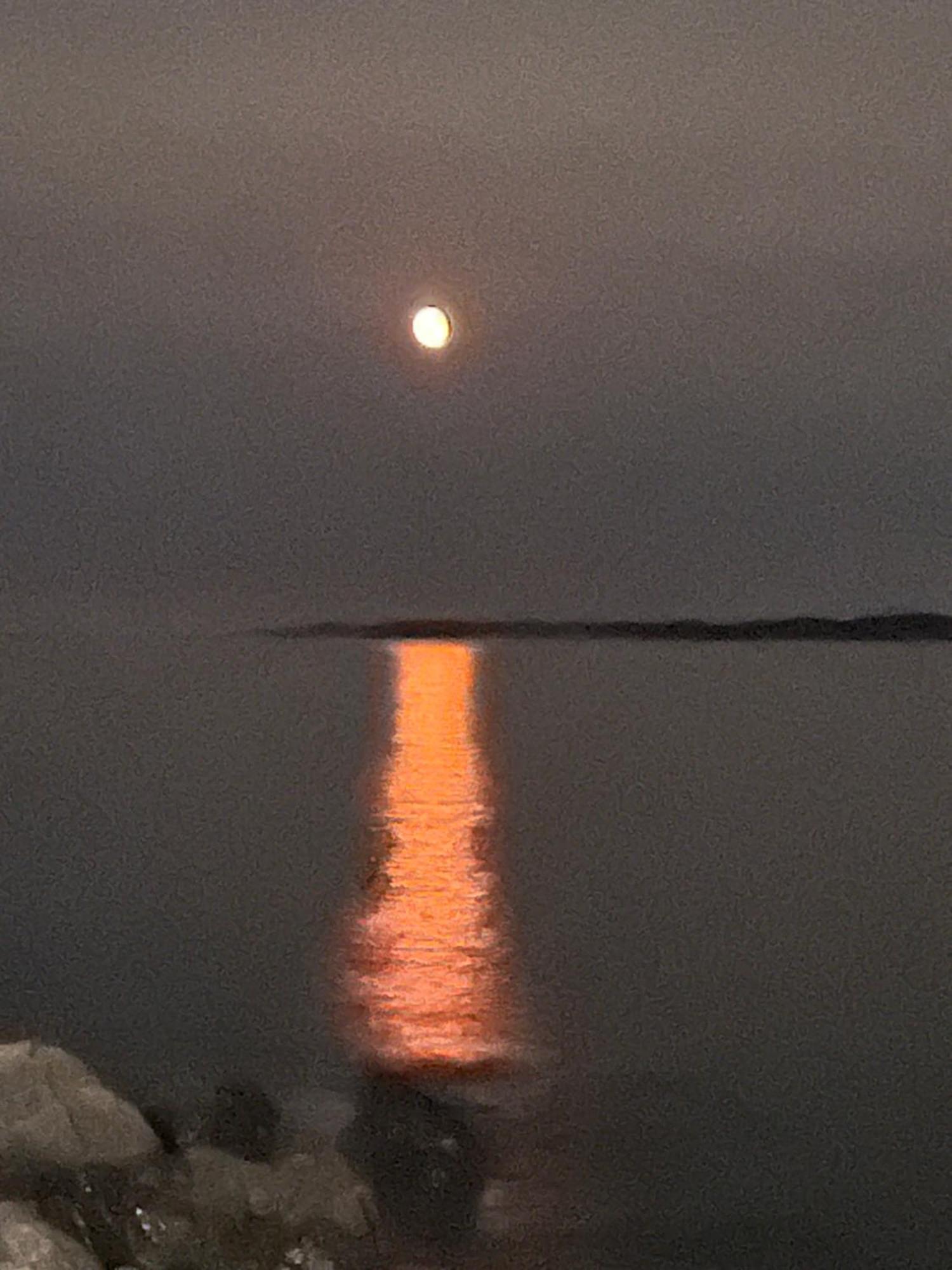 The View Suites And Breakfast In Triton, Newfoundland Pilley's Island Exteriér fotografie