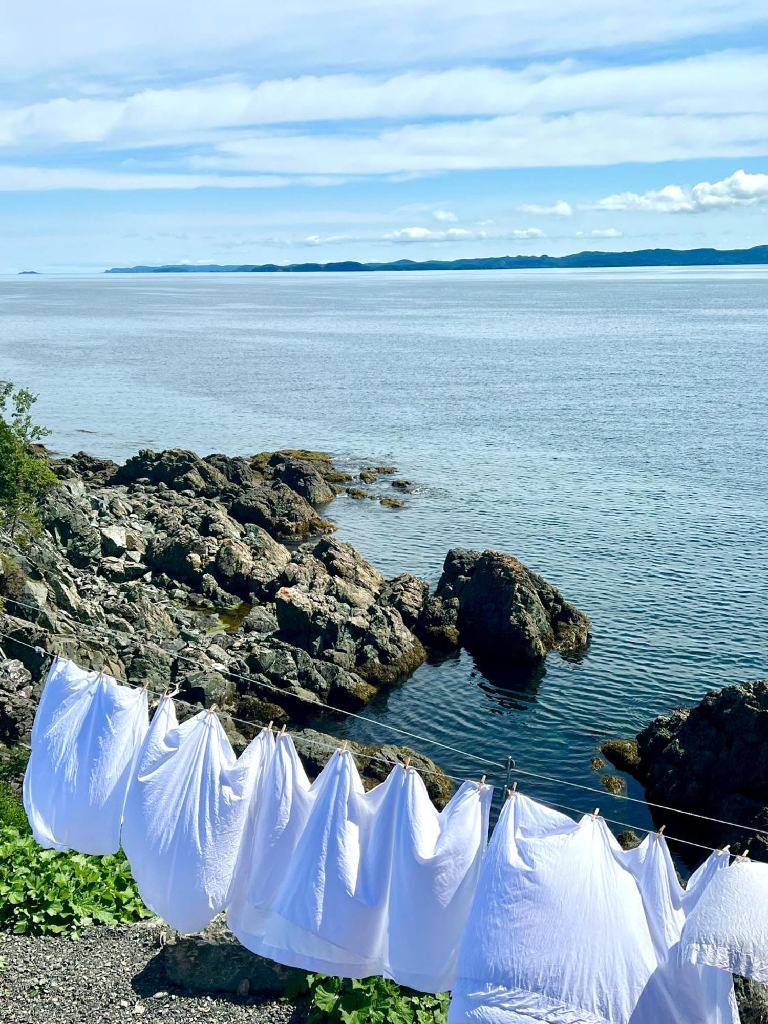 The View Suites And Breakfast In Triton, Newfoundland Pilley's Island Exteriér fotografie
