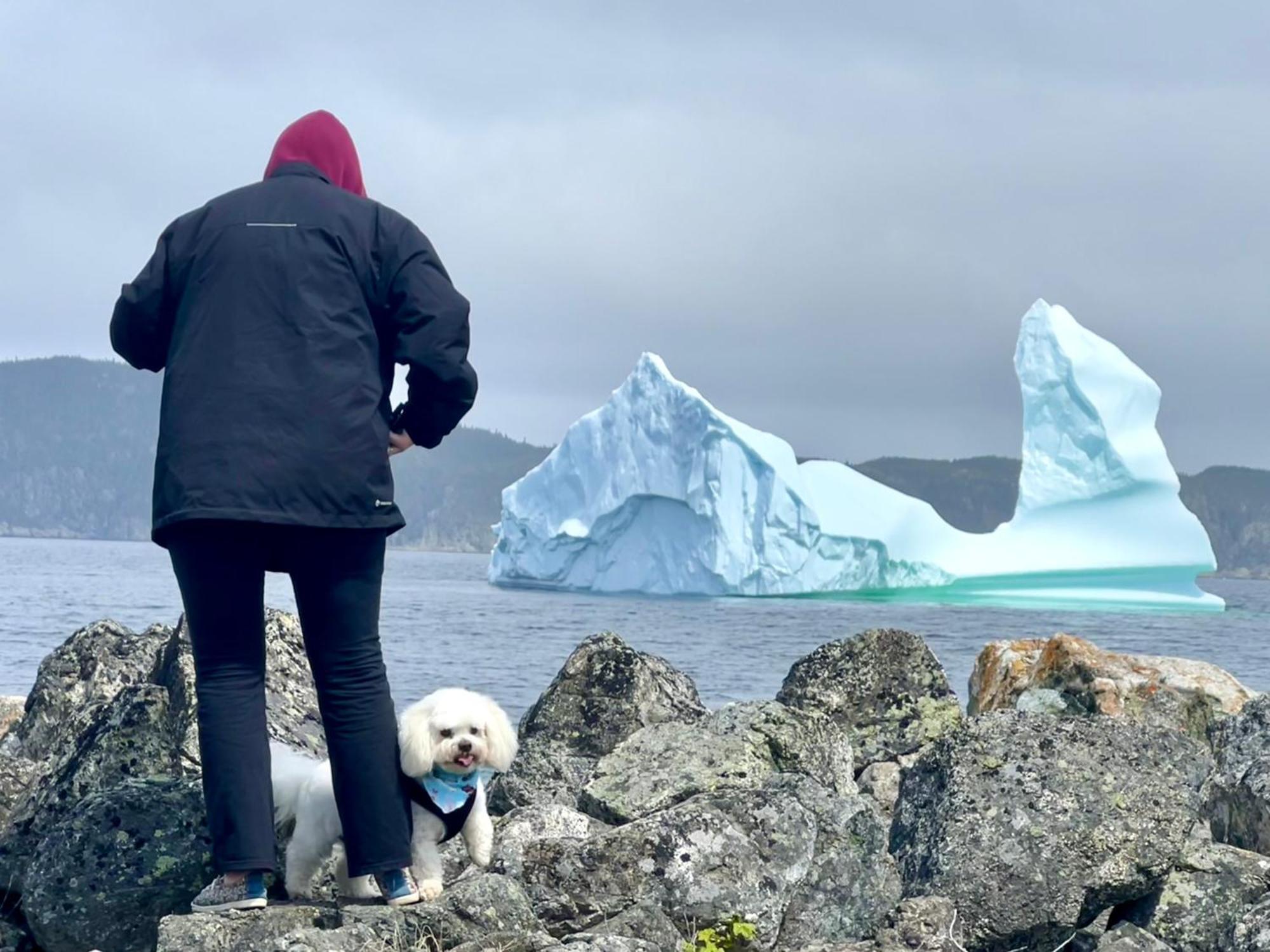 The View Suites And Breakfast In Triton, Newfoundland Pilley's Island Exteriér fotografie
