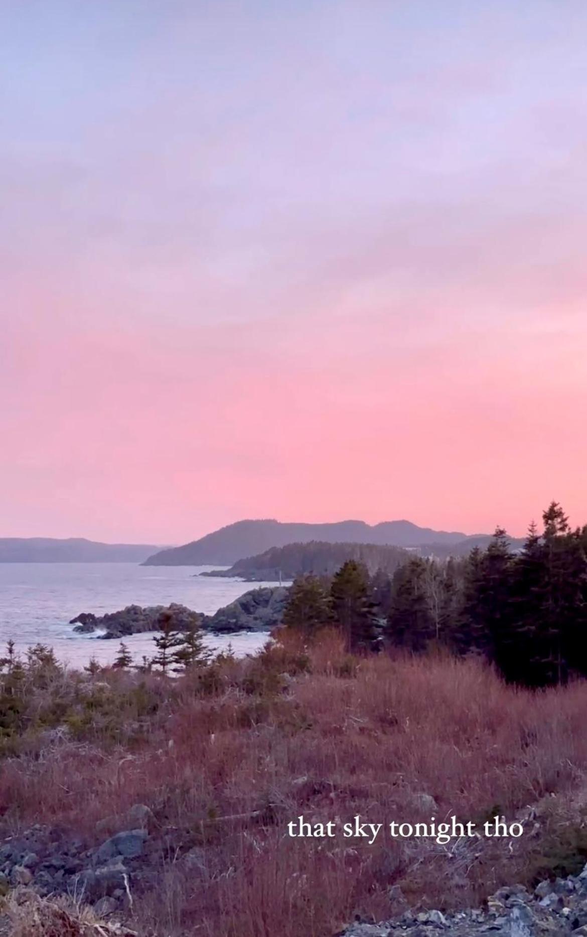 The View Suites And Breakfast In Triton, Newfoundland Pilley's Island Exteriér fotografie