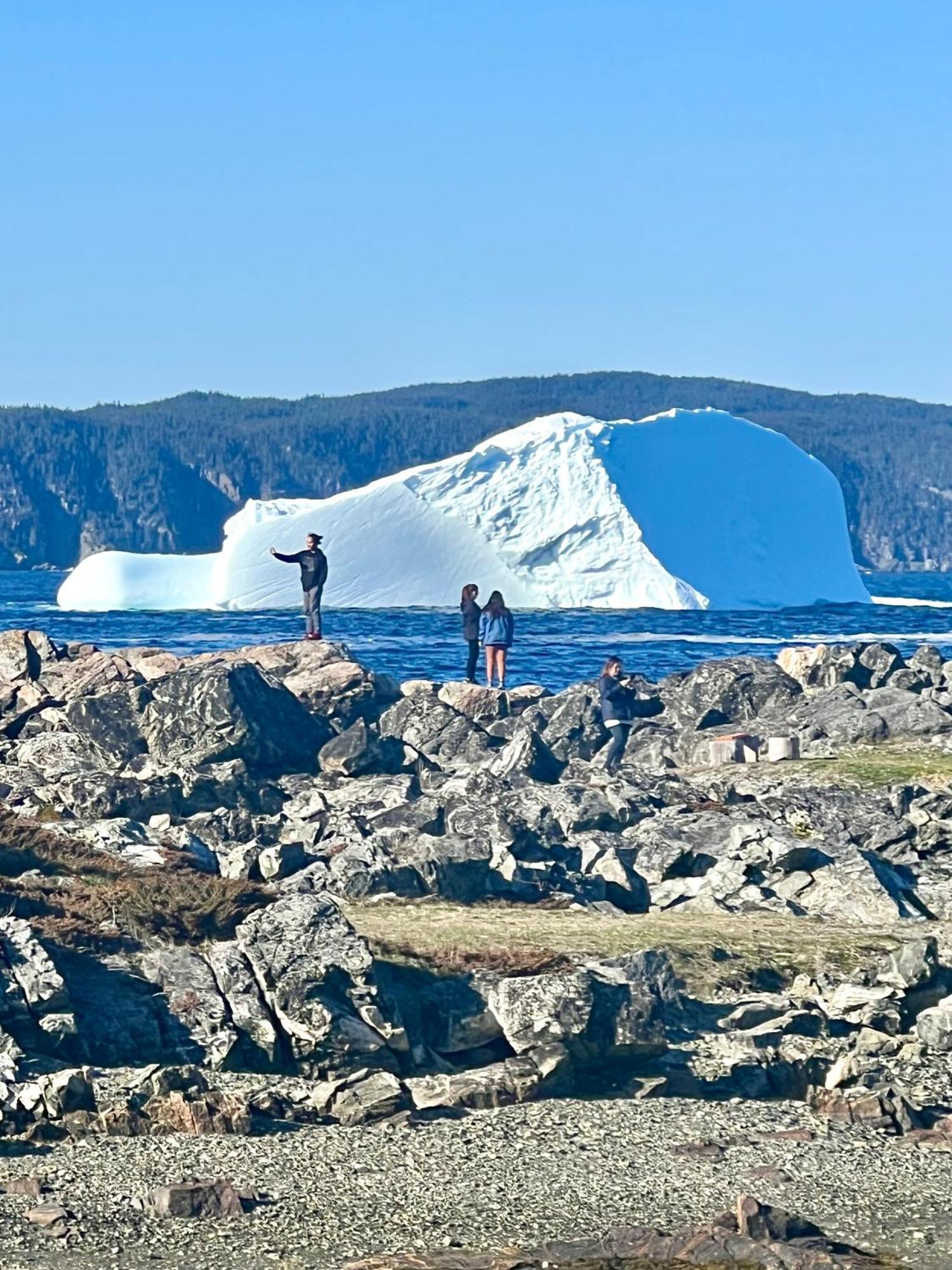 The View Suites And Breakfast In Triton, Newfoundland Pilley's Island Exteriér fotografie