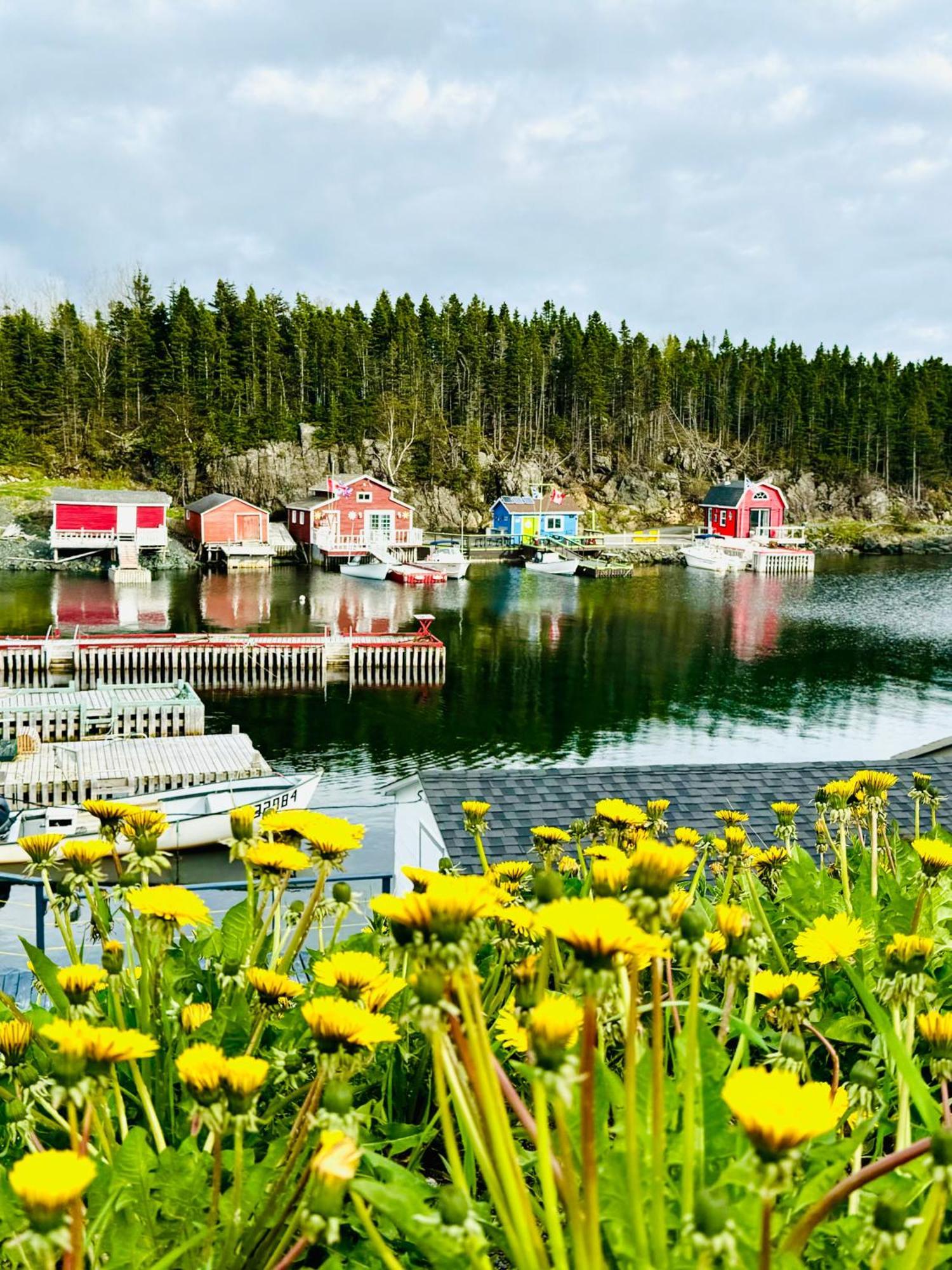 The View Suites And Breakfast In Triton, Newfoundland Pilley's Island Exteriér fotografie