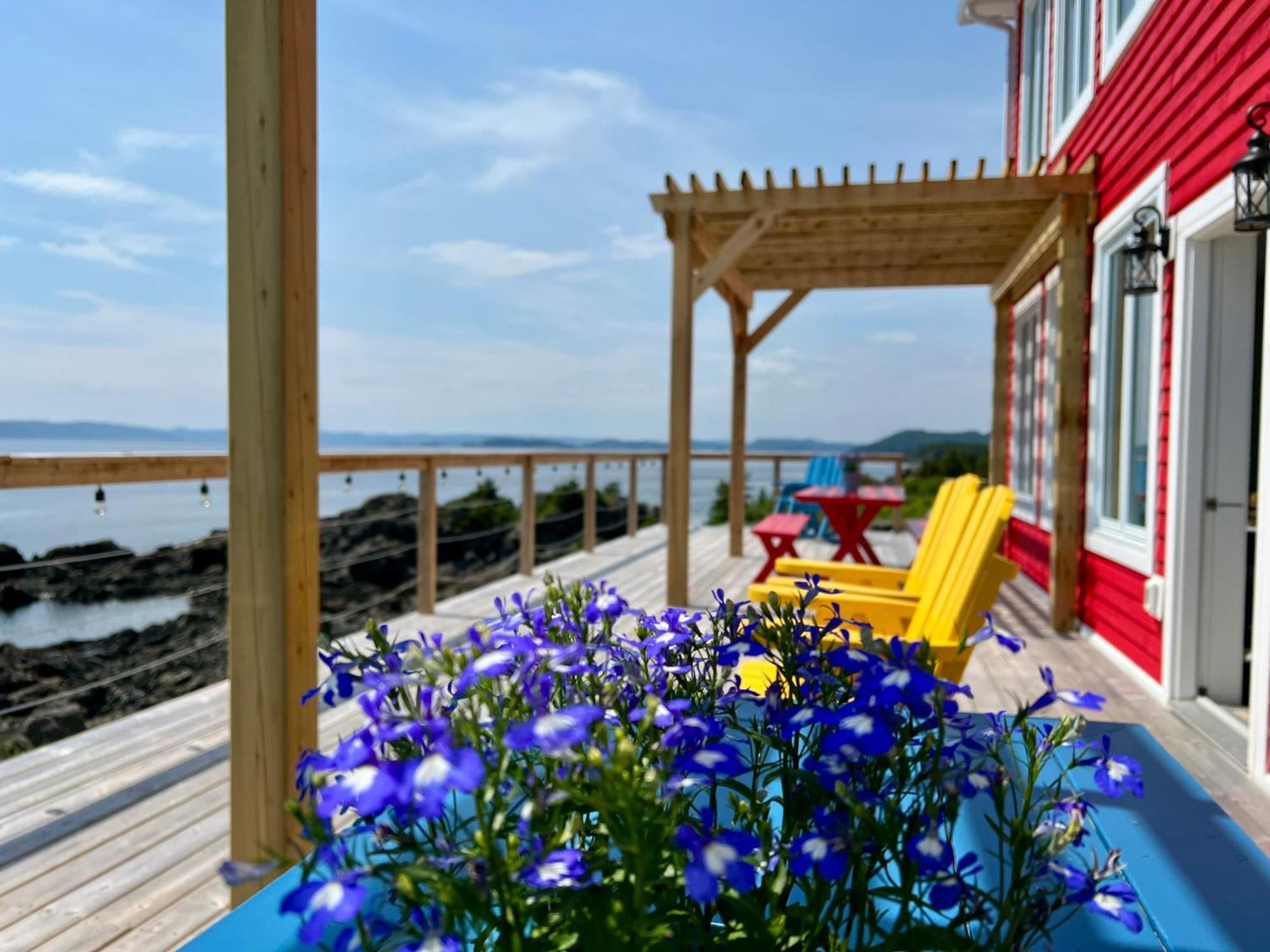 The View Suites And Breakfast In Triton, Newfoundland Pilley's Island Exteriér fotografie